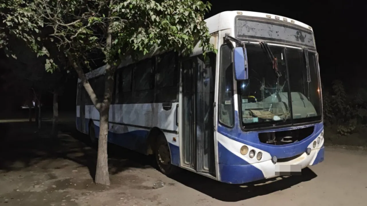 WhatsApp-Image-2025-07-28-at-2.39.27-PM