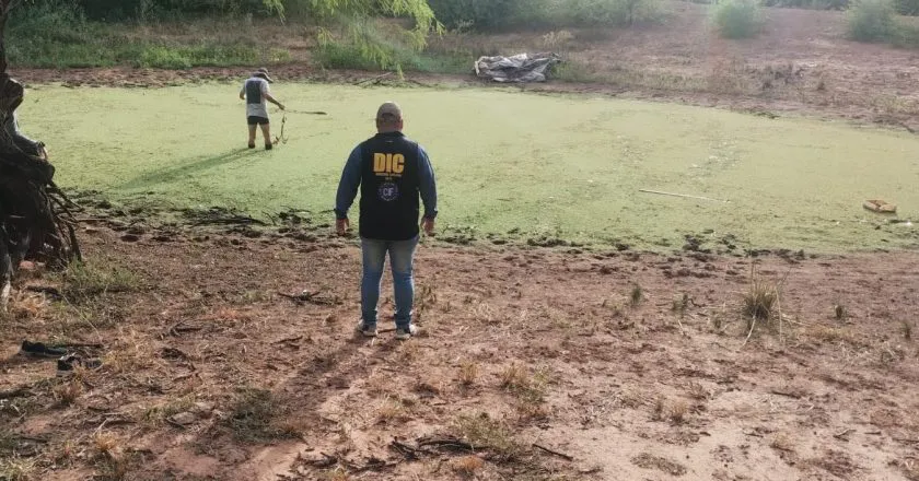 busqueda.Rosmery-840x440