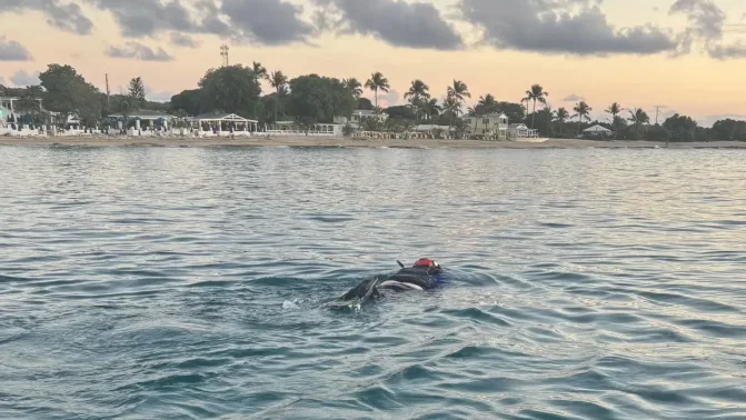 Captura de pantalla 2026-02-27 132127