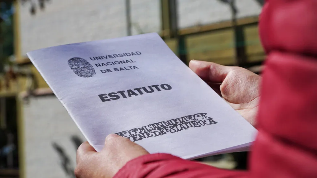 nuevo estatuto de la UNSa