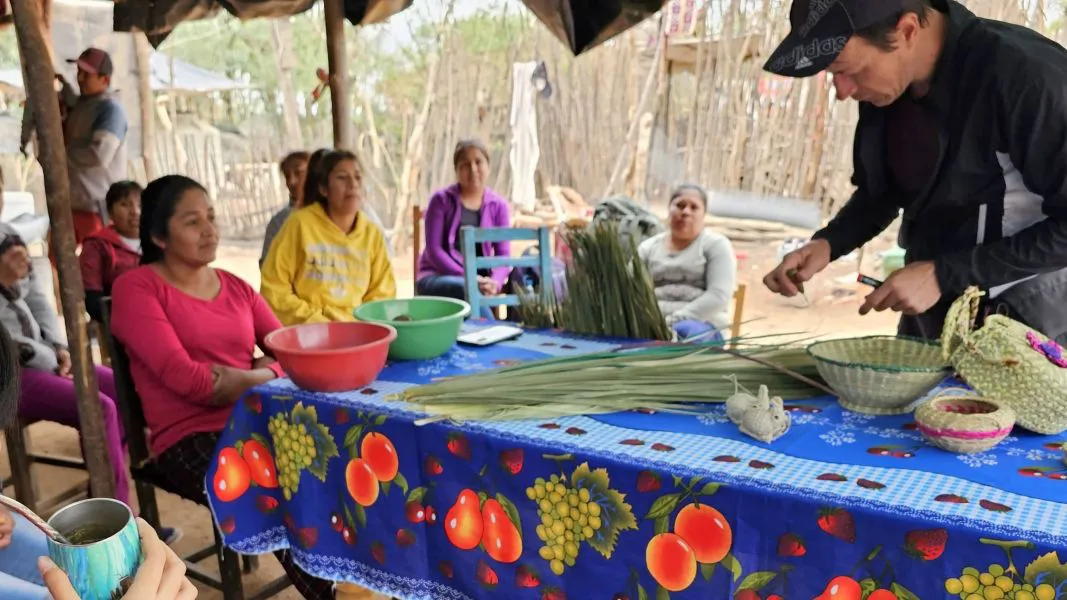 11711-foto-ilustrativa