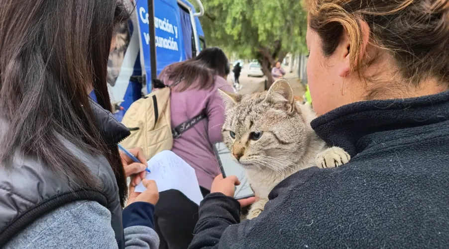 Captura de pantalla 2024-11-20 113733