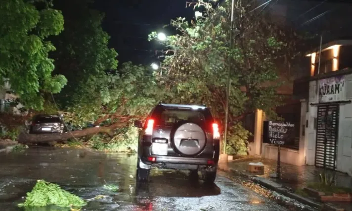 Captura de pantalla 2025-10-23 120151