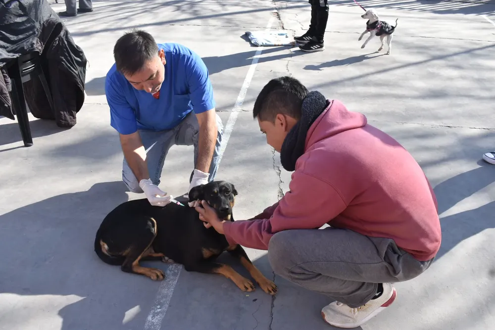 vacunacion-villa-chartas-1