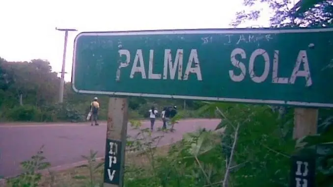 palma-sola