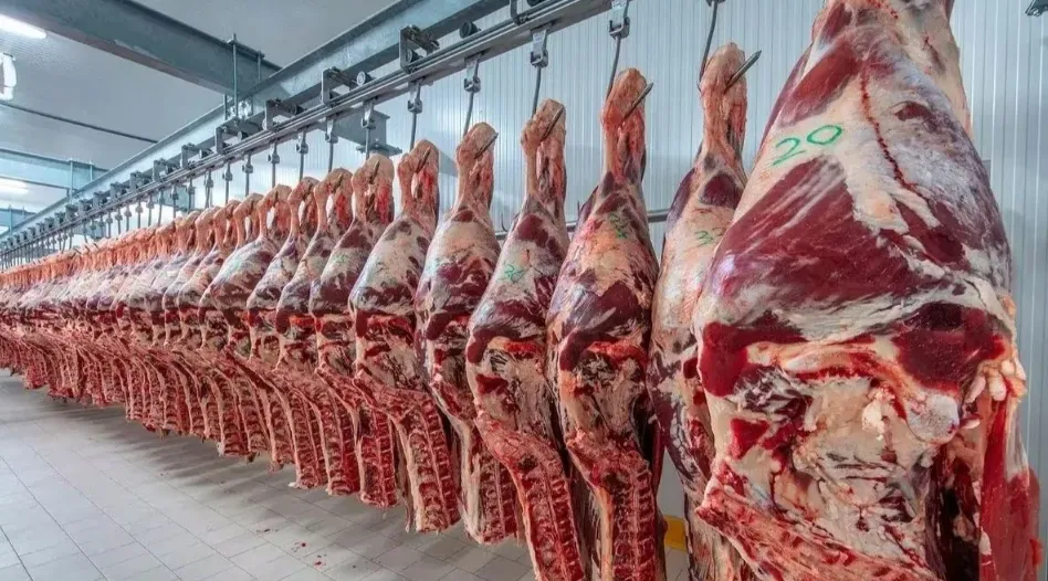 Captura de pantalla 2026-01-16 105826