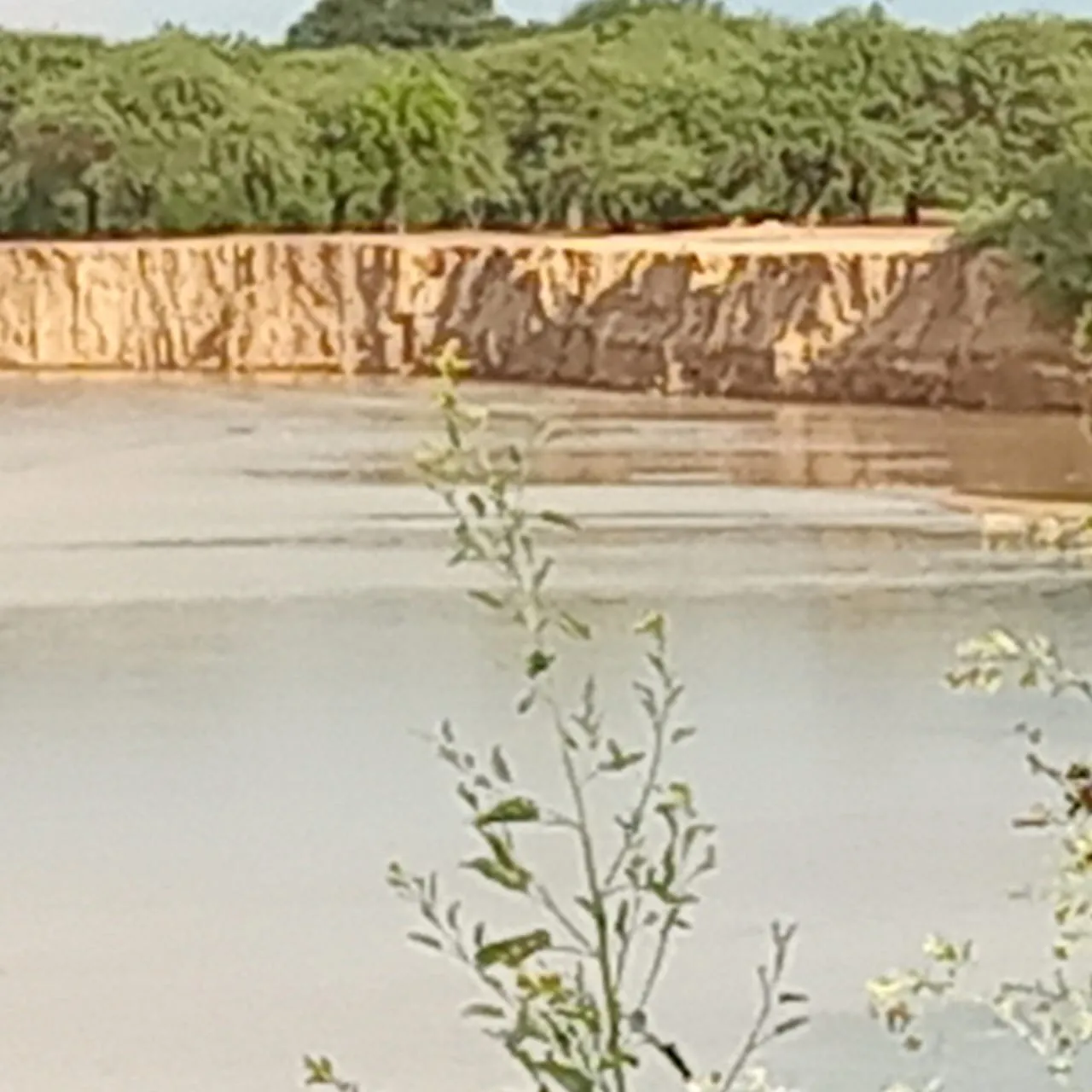 Celedonio Torres  (3)