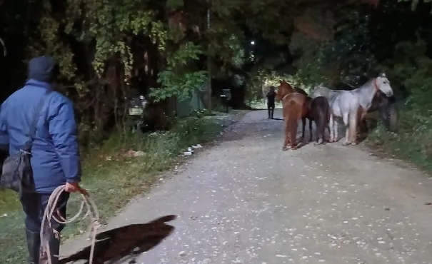 Captura de pantalla 2025-05-29 120526