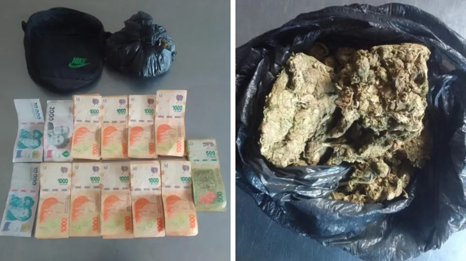 Captura de pantalla 2024-11-28 081835