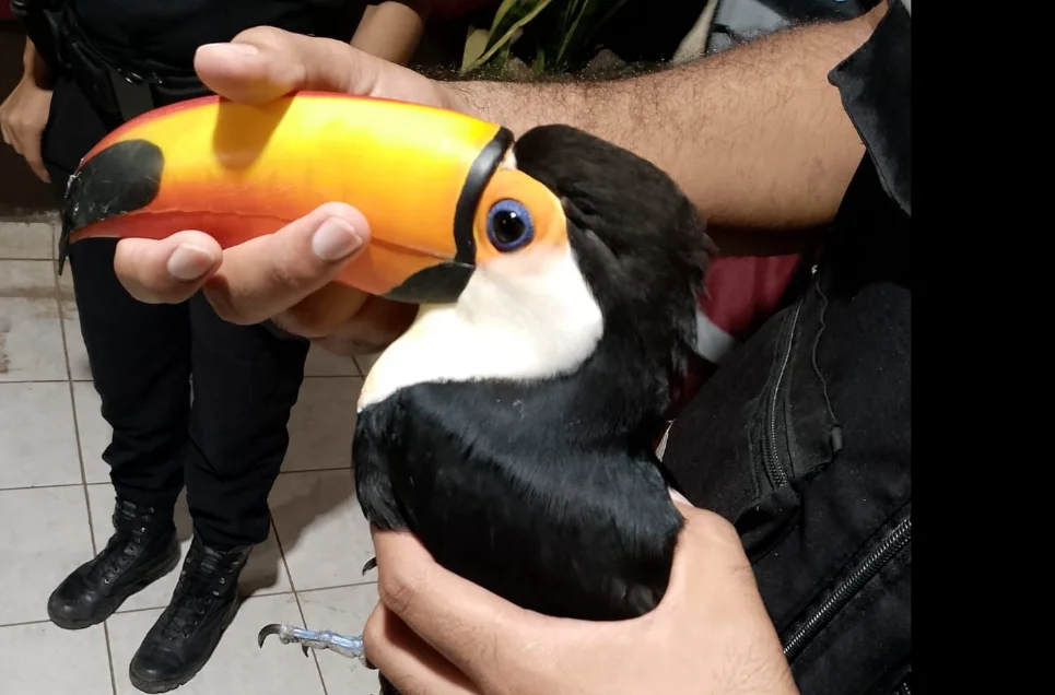 Captura de pantalla 2026-03-25 100708