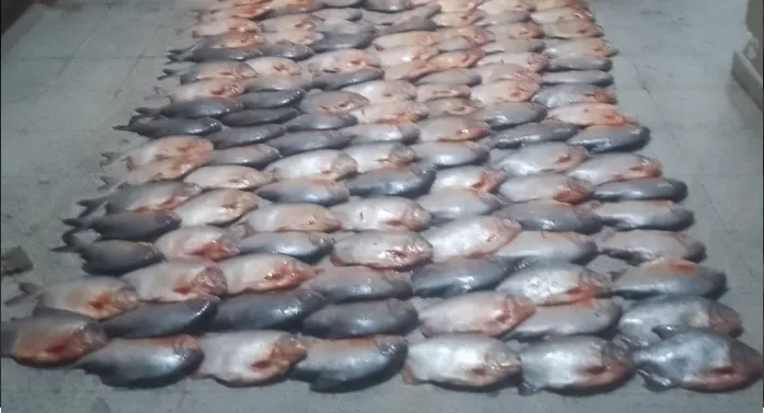 Captura de pantalla 2024-12-16 111409