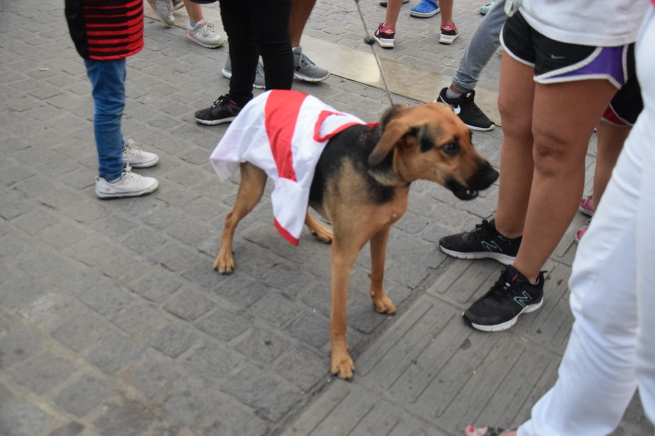 River- los festejos en Salta (24)