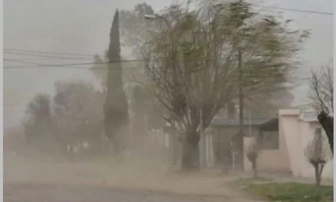 Captura de pantalla 2026-10-22 085440