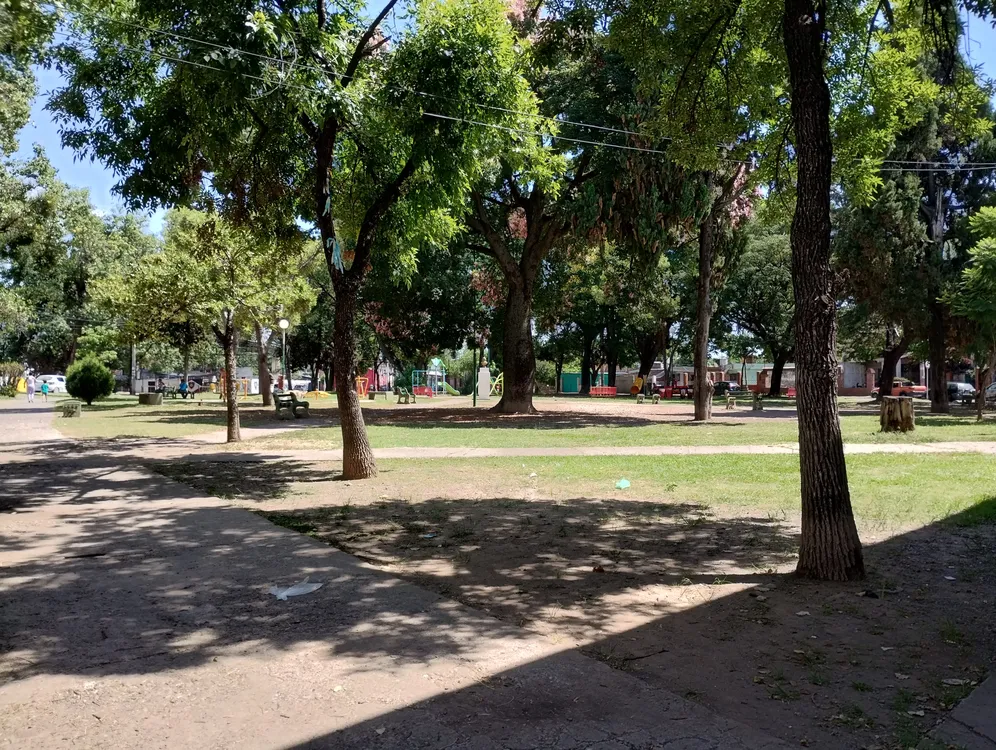 IMG_20250206_113348675_HDR