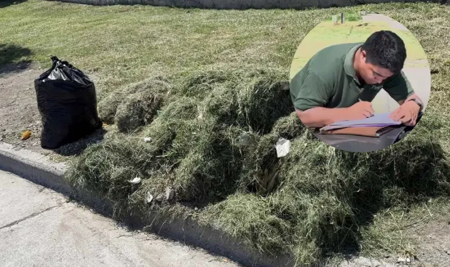 Captura de pantalla 2026-02-07 111702