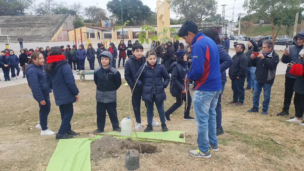 plantacion-plaza-espana-1