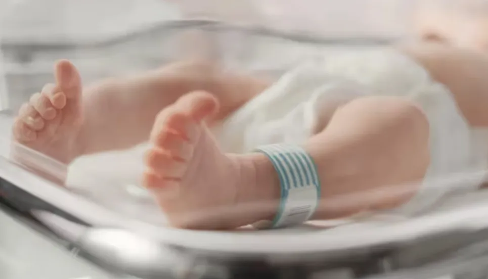 Captura de pantalla 2026-01-12 132954