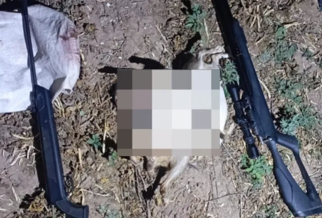 Captura de pantalla 2025-07-16 105746