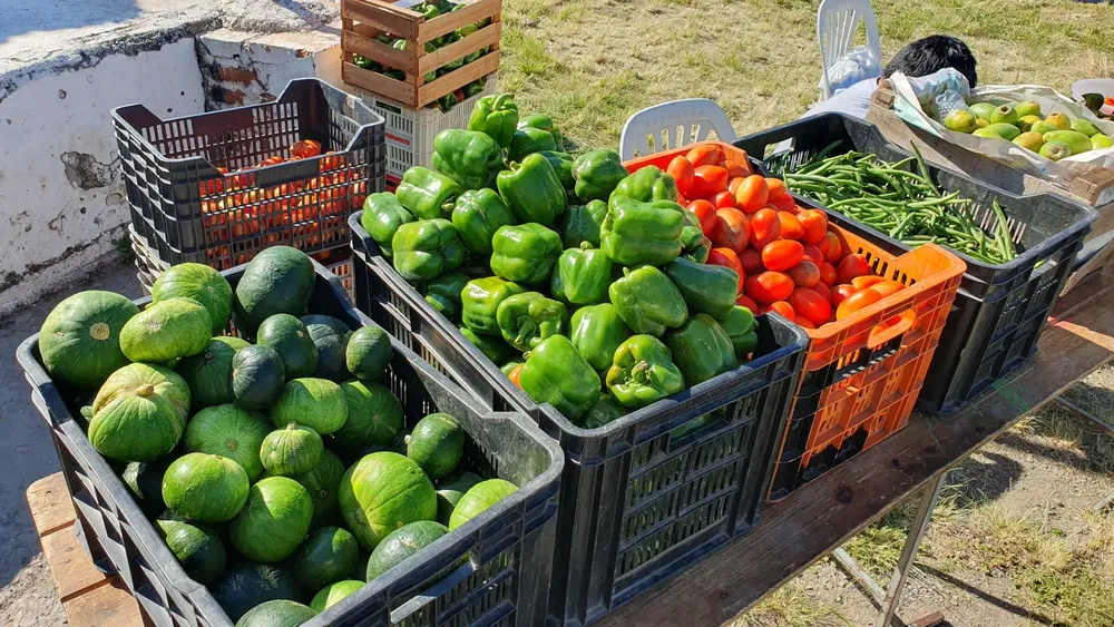 elmercadoentubarrio4-1-2048x1152