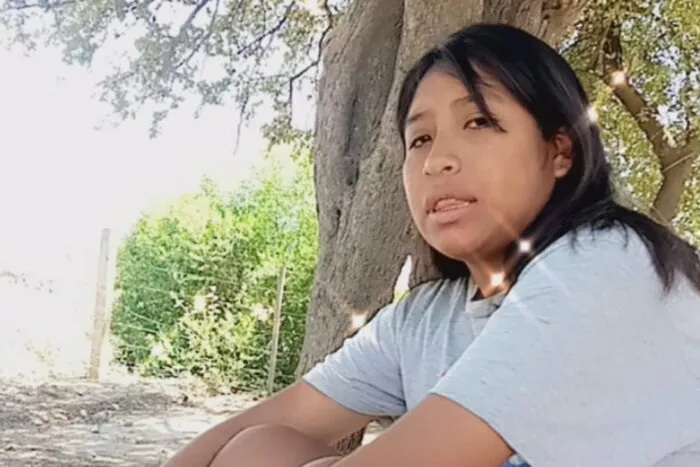 898689-img-20241215-wa0043