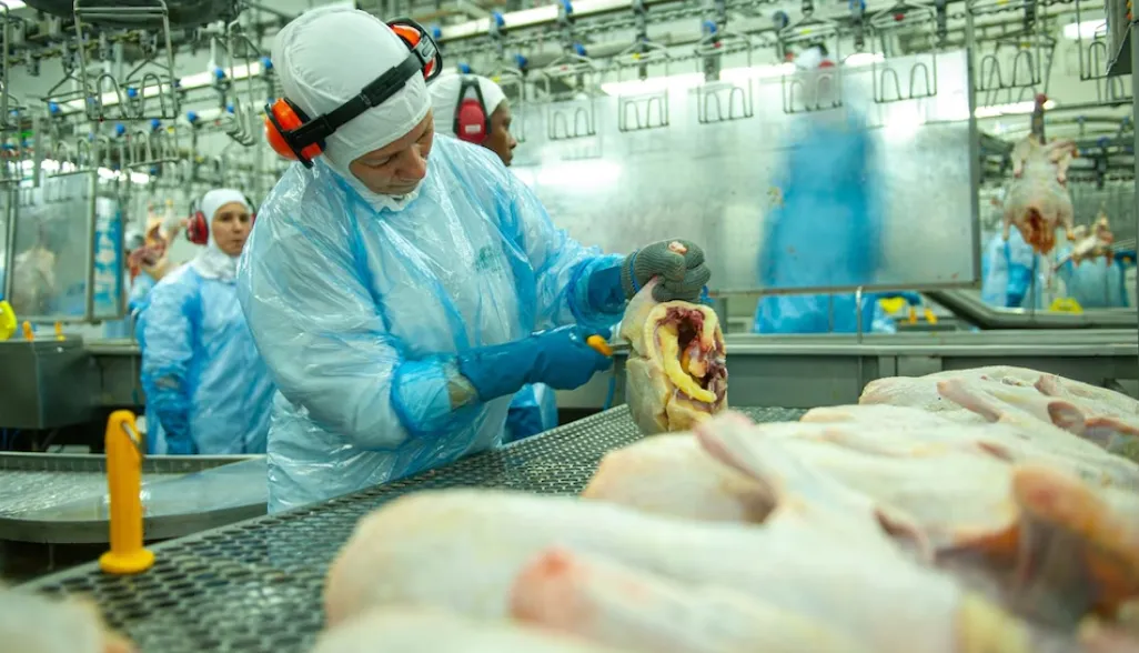 Captura de pantalla 2025-09-23 105847