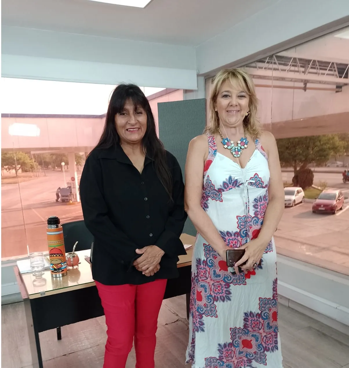 Maria Dolores Vedia 2