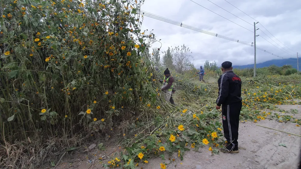 limpiezaterreno-2048x1152