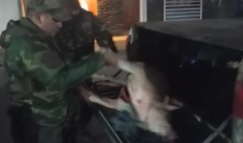 Captura de pantalla 2025-07-31 130946