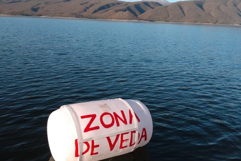 PhotoPictureResizer_190803_153018784_crop_776x517