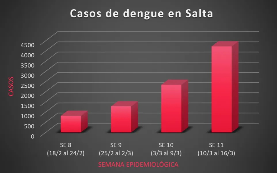 11350-en-la-ultima-semana-aumentaron-un-805-los-casos-de-dengue-en-salta