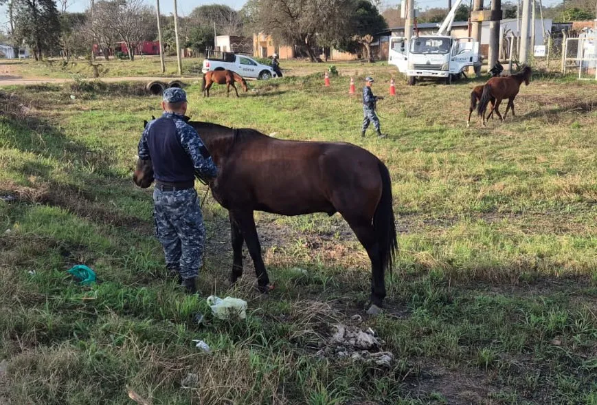 WhatsApp-Image-2025-07-31-at-7.46.48-PM-1