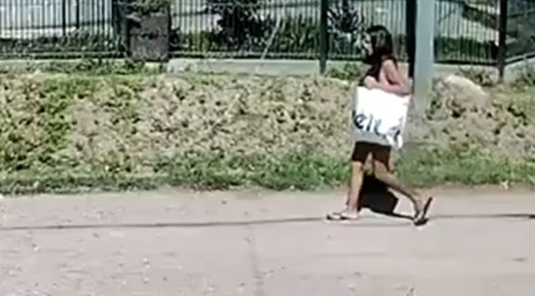 Captura de pantalla 2026-03-06 113119