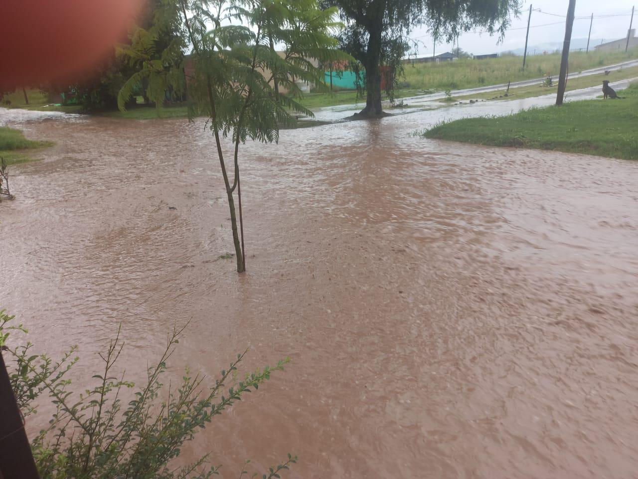 Los Nogales inundado por agua de las fincas (10)