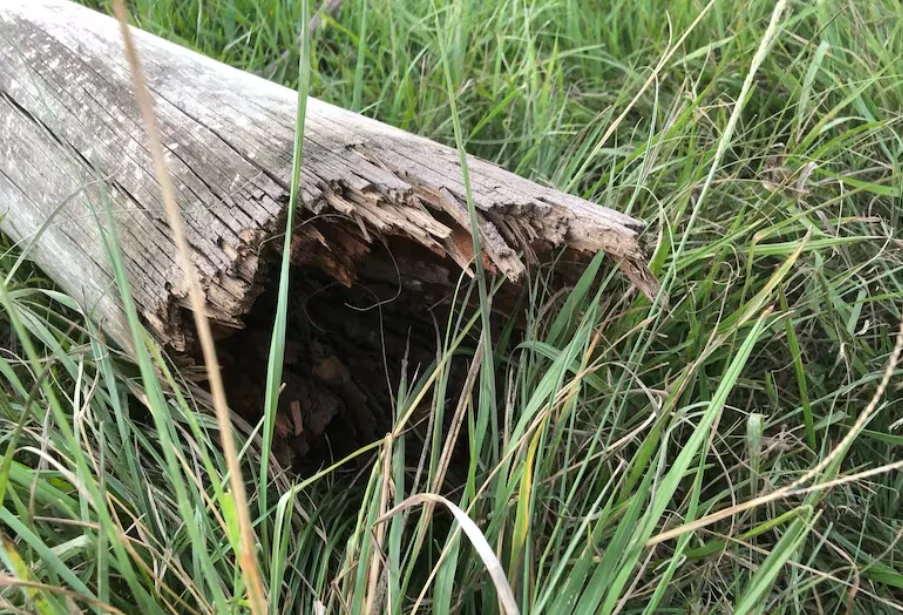 Captura de pantalla 2026-03-30 115548