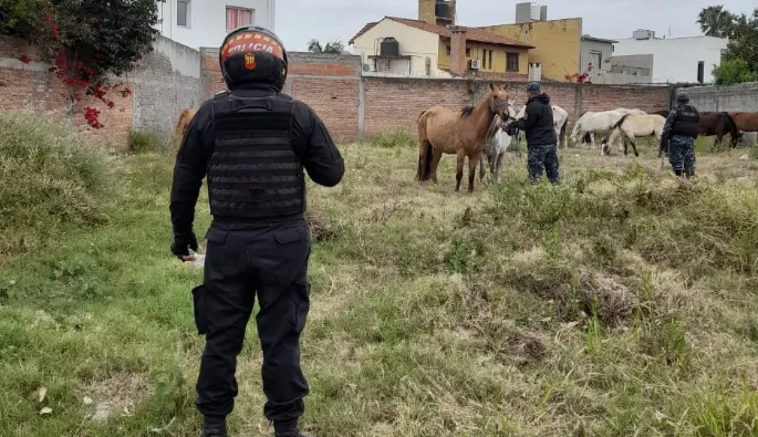 Captura de pantalla 2025-10-08 115014