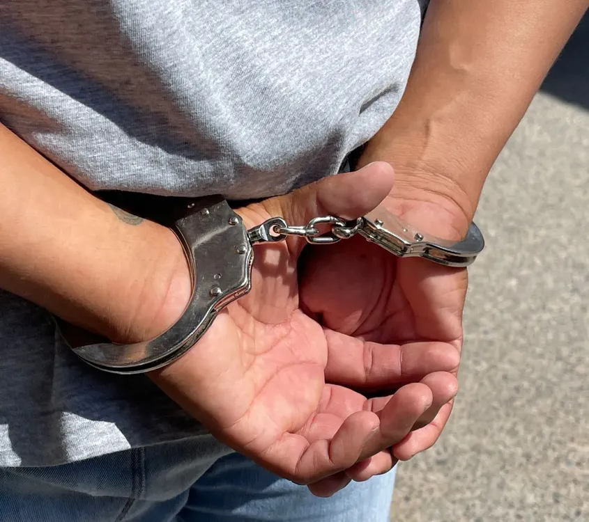 AllanamientoAndreani-Ciberdelito6