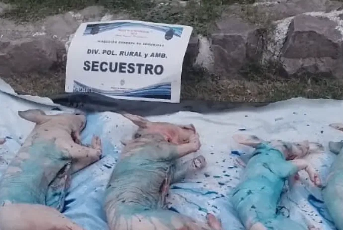 Captura de pantalla 2024-12-16 104209