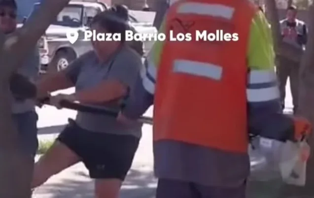 Captura de pantalla 2026-06-25 110408