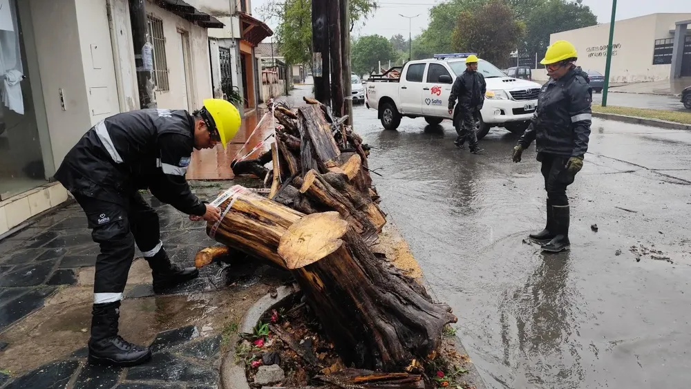 Imagen Temporal linea 105