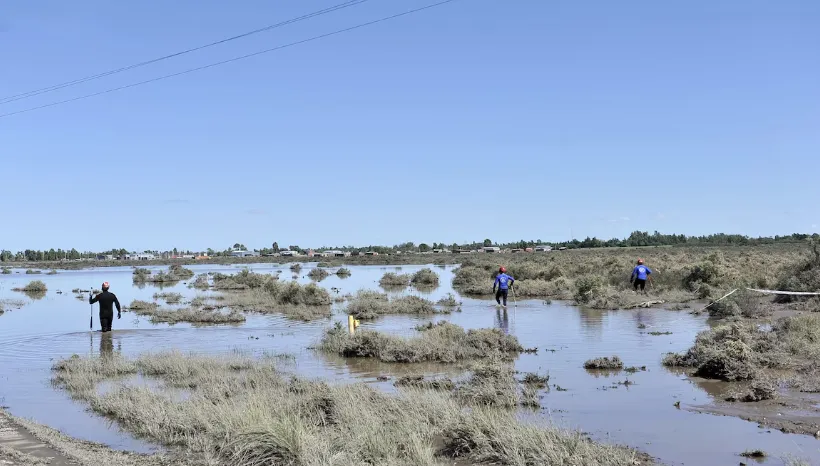 Captura de pantalla 2025-03-11 120757