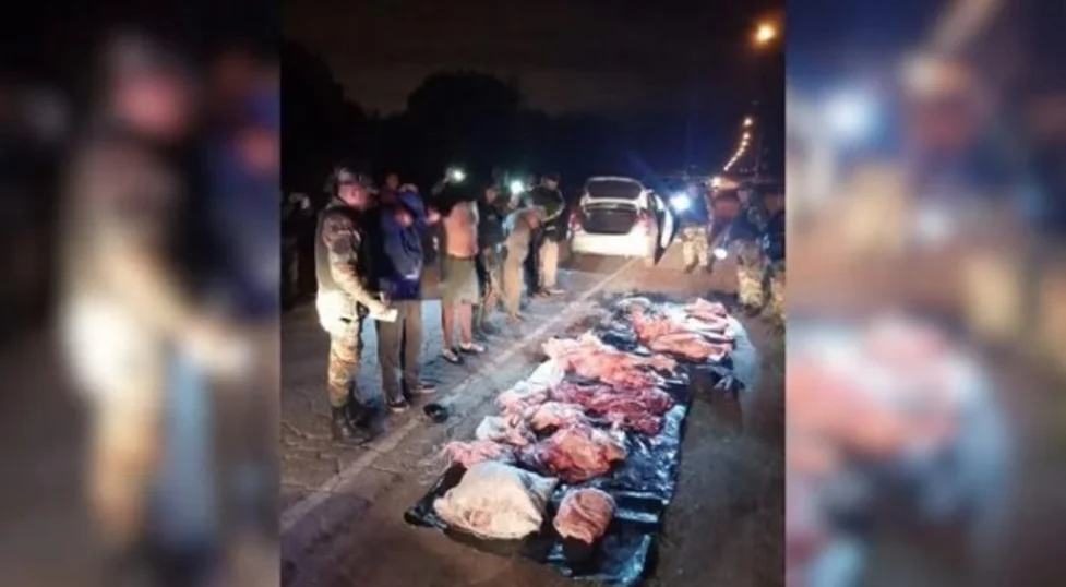 Captura de pantalla 2026-04-01 110805