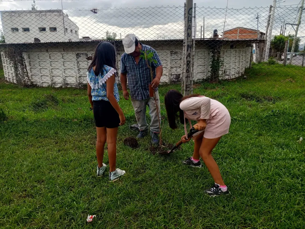plantacion-puerto-argentino-3
