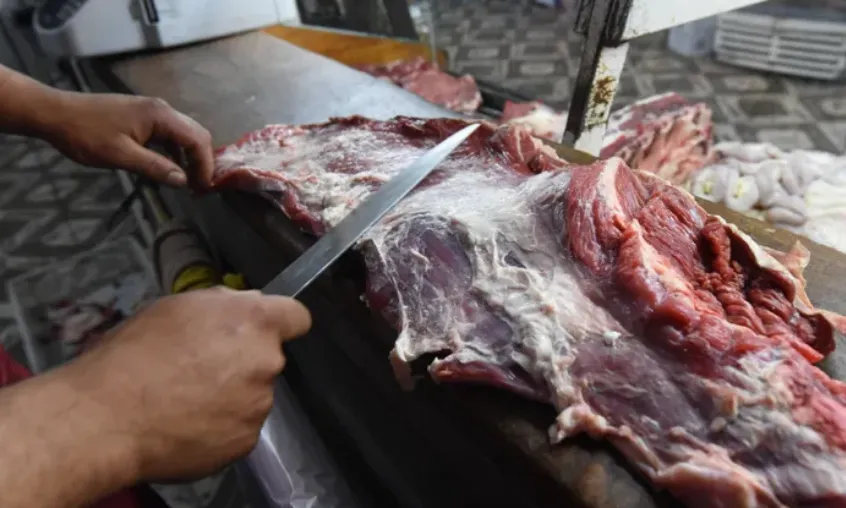 Captura de pantalla 2025-12-31 111847