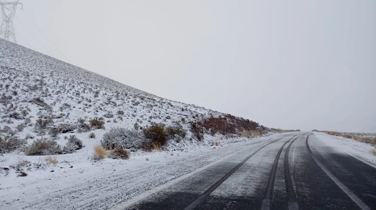 63a0ea85-c3b1-4dd4-a18b-9b8df2f0a80f