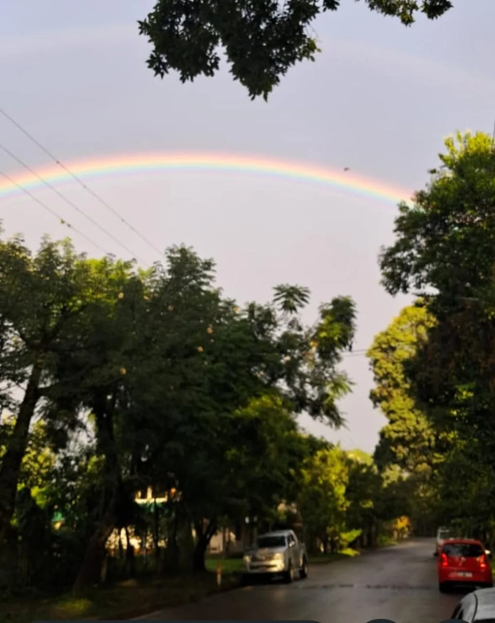 dbc975ee-6fdf-42d6-b074-be933a8fec92