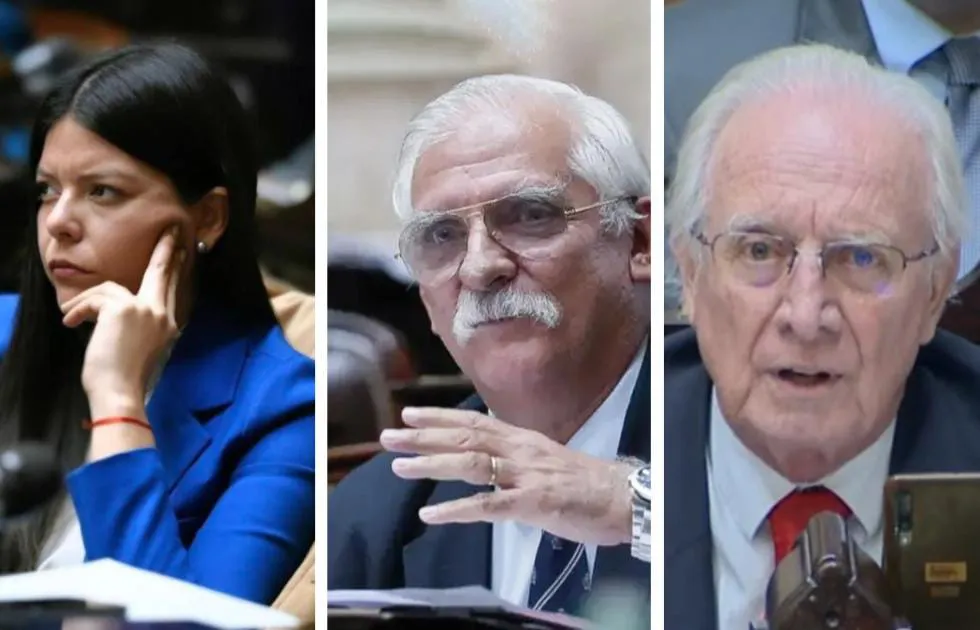 WhatsApp Image 2025-08-21 at 12.05.46 PM